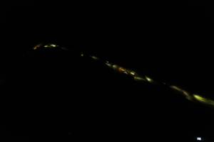 BIB: 
                            <button type="button" onclick="openModal(22789814)" class="btn btn-primary btn-sm float-right btn-popup" data-toggle="modal" data-target=".modal-high-quality">
                        <i class="fas fa-shopping-cart"></i> Add to Cart
                    </button>
                                            <button type="button" onclick="isThisMe(22789814, true)" class="btn btn-success btn-sm float-right btn-popup btn-isme hidden" data-toggle="tooltip" data-placement="bottom" title="นี่คือรูปของคุณใช่ไหม คลิกที่นี่เพื่อเอาเข้าอัลบั้ม">
                        <i class="fas fa-plus"></i> Add to album
                    </button>
                    <button type="button" onclick="isThisMe(22789814, false)" class="btn btn-warning btn-sm float-right btn-popup btn-isnotme hidden">
                        <i class="fas fa-ban"></i> Remove from album
                    </button>